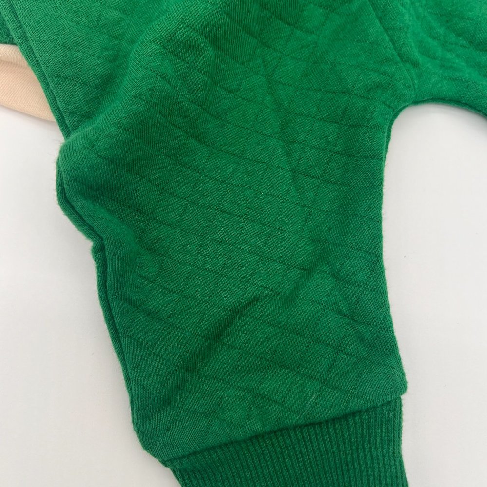 NWOT 🥀 0-3Mo. "Lucky Charm" Wonder Nation St. Patrick's Day 2 Piece Onesie Set - Picture 8 of 10